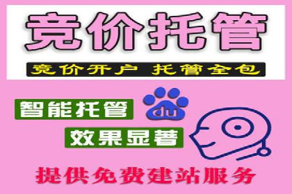 SEM竞价代运营公司案例深度解析